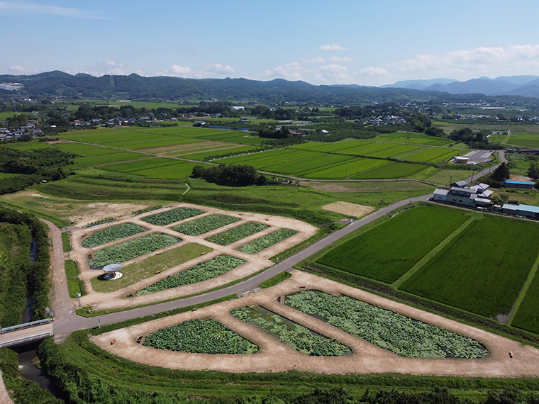 あつかし千年公園